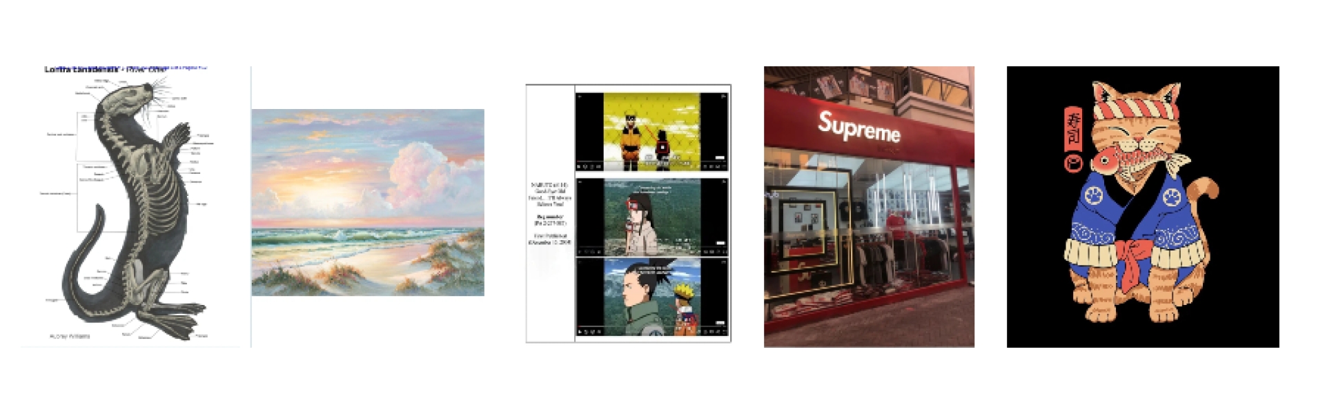 上架就中招！从动漫、电影到游戏版权、商标，万物皆可TRO！David最近又代理新版权，卖家们别被盯上了！