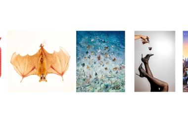 95名卖家被Keith的4张图拿下！GBC又代理新动漫《爱宠大机密》；套筒扳手套装都不能随便用，小心被制裁！