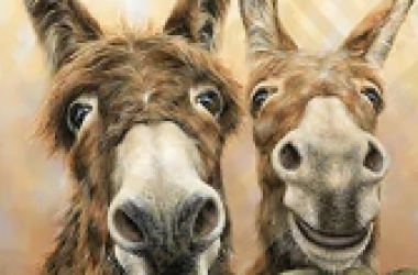 DINA PEREJOGINA版权画作维权23-cv-15598