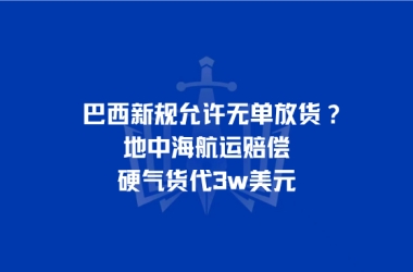 巴西新规允许无单放货？地中海航运赔偿硬气货代3w美元
