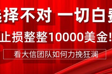 选择不对，一切白费 ！！案件被服务商耽搁5个月拖到临近缺席，转大信团队直接止损1W+美金！